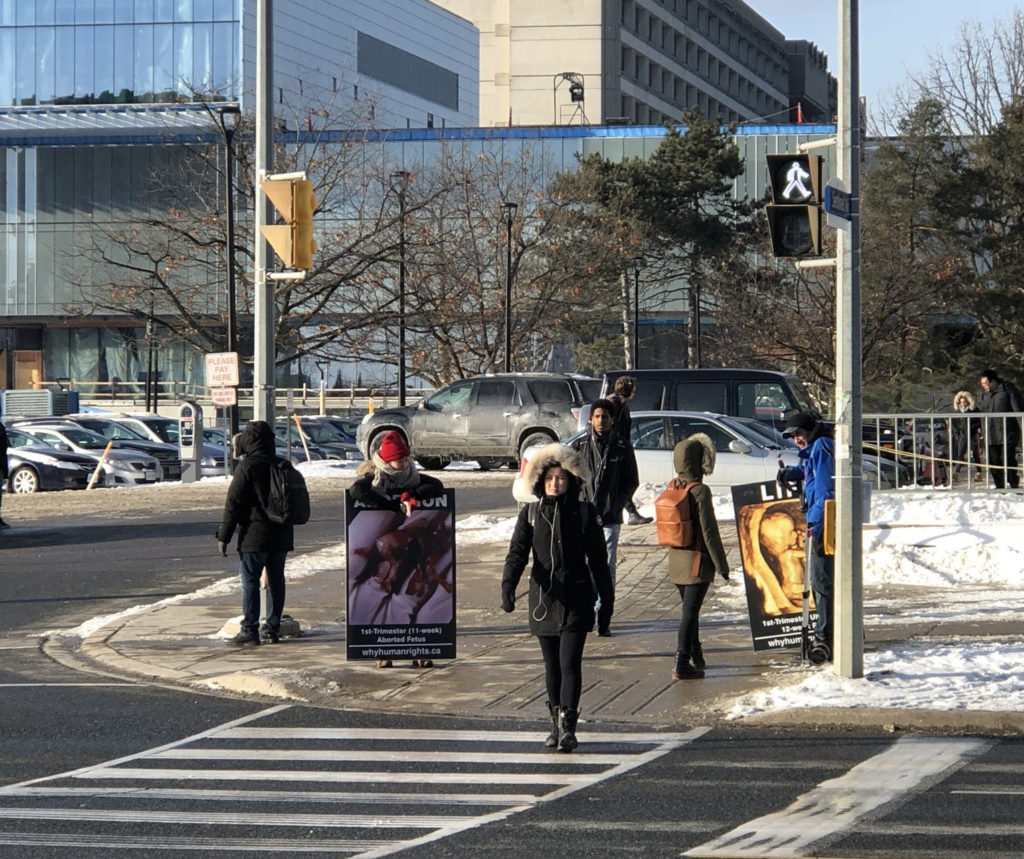 TAA at York University